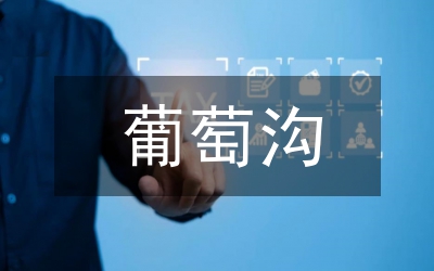 葡萄品牌建设论文